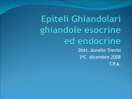 Epiteli Ghiandolari ghiandole esocrine ed endocrine