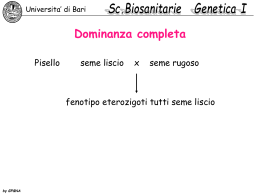 X - Università degli Studi di Bari