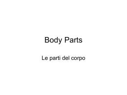 Body Parts - Primary Resources