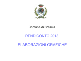 Rendiconto 2013 elaborazioni grafiche