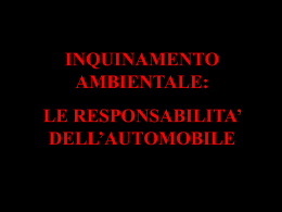 Inquinamento: le responsabilit&agrave; dell`automobile (*ppt)