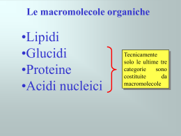 Le macromolecole
