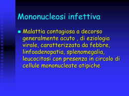 Monotoxo