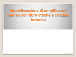MODELLIZZAZIONE DI AMPLIFICATORI RAMAN CON FIBRE