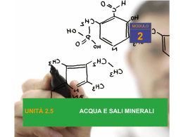 unit&agrave; 2.5 acqua e sali minerali 2