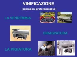 VINIFICAZIONE