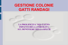 La prolificit&agrave; nel gatto: impatto della fertilit&agrave; sul