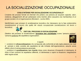 socializzazione occupazionale