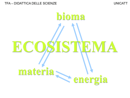 Ecosistema - BIOMA