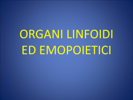 Organi linfoidi ed emopoietici (noemi)