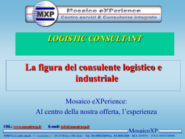 Logistic consultant