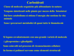 carboidrati-2-ba