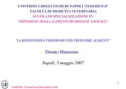 La biodiverst&agrave; prodromo per produrre alimenti