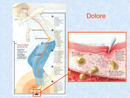 Terapia del Dolore - Area-c54