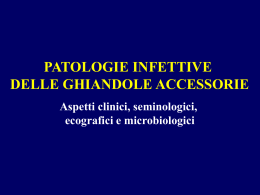 Patologie infettive ghiandole accessorie