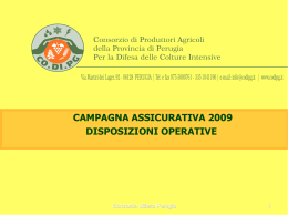 clicca qui per scaricare LA PRESENTAZIONE