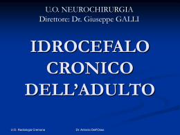 IDROCEFALO CRONICO DELL`ADULTO