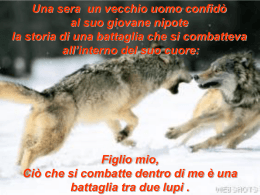 Loups - Don Bosco Cairo
