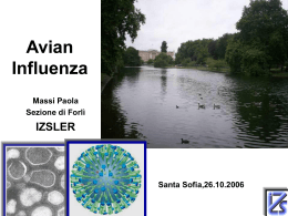 La letalit&agrave; media del virus dell`influenza aviaria H5N1 (OMS)