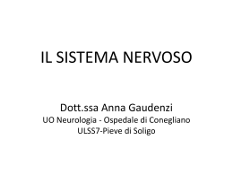 Sistema nervoso dott.ssa Gaudenzi