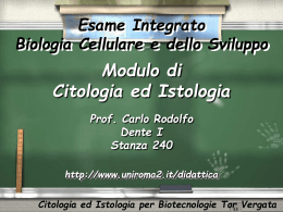 Corso di ISTOLOGIA Biotecnologie - Universit&agrave; degli Studi di Roma