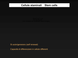 Le Cancer stem cell