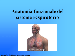 1 lezione anatomia funzionale inferm 2547KB Mar 16 2013 10