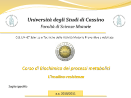 L`insulino-resistenza - Università degli Studi di Cassino