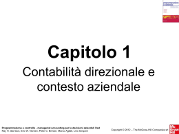 Contabilit&agrave; direzionale e contesto aziendale