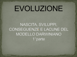 Evoluzione 2014 quinte