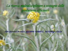 La ricerca multidisciplinare a sostegno delle produzioni officinali