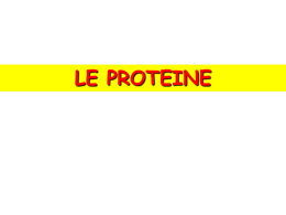 lez_4 Proteine - I blog di Unica