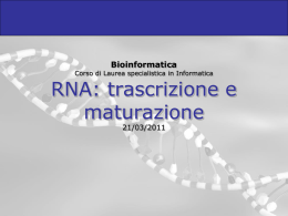 3-RNA_e_trascrizione_2011