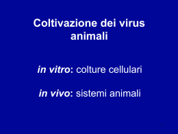 lezione_2,_3_e_4_ - Universit&agrave; degli Studi di Roma Tor Vergata