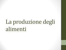 Materiale - Sito personale di Anna Franciscono