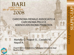 032 - C.Martella, G.Napoli, et al.