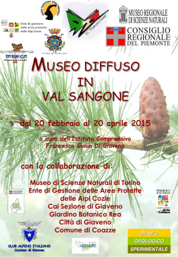 Il fungo in Val Sangone