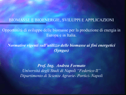 relazione Formato_biomasse pompei