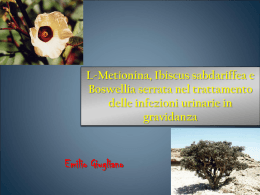 L-Metionina, Ibiscus sabdariffea e Boswellia serrata nel trattamento