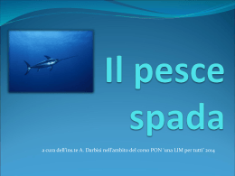 Il pesce spada - "Gesualdo Nosengo" Petrosino
