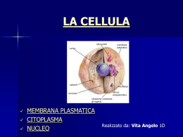 LA CELLULA