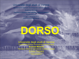 dorsocampara (vnd.ms-powerpoint, it, 3908 KB, 11/12/15)