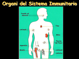 019c2_Sistema_Immunitario