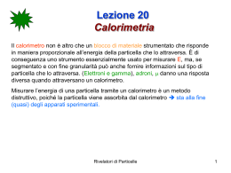 lezione19 - Dipartimento di Fisica e Geologia