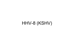 HHV-8 (KSHV)
