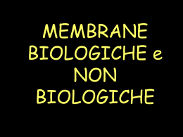 membrane biologiche - Virgilio Siti Xoom