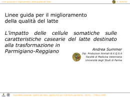 LINEE PER UNA SCHEDA TECNICA DI