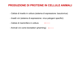 Trasferimento genico diretto