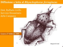 SCARICA IL DOCUMENTO IN FORMATO POWERPOINT