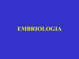 EMBRIOLOGIA - Sezione Ornitologica di Fossombrone